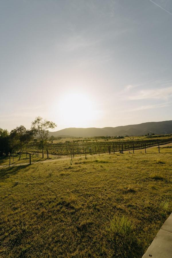 Casa Primavera/ Valle De Guadalupe Luaran gambar